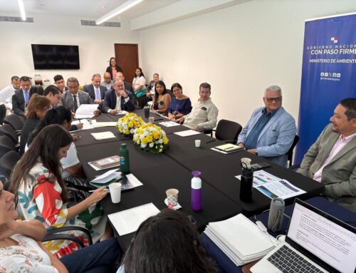 AMUPA forma parte del Comité Directivo Nacional de Acción en la lucha contra la Contaminación por plásticos