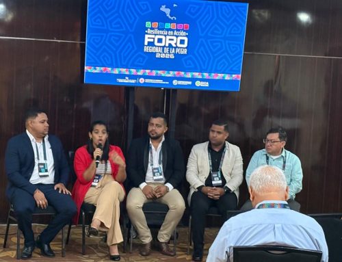 Representantes de AMUPA participan en conferencia sobre riesgo de desastres naturales